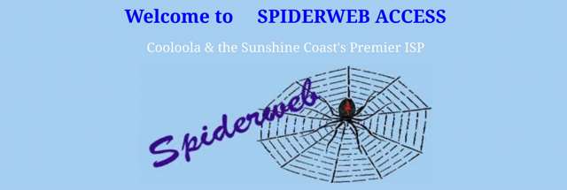 Spiderweb Logo from 1999 to 2000