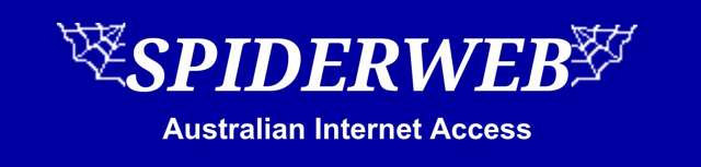 Spiderweb Logo from 2001 to 2002
