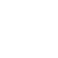 WordPress Hosting Icon